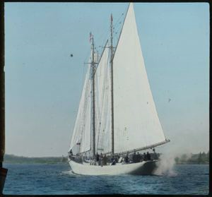 Image of Bowdoin Under Full Sail and Engine